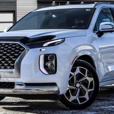 Hyundai Palisade (2020-2025) FormFit Hood Protector