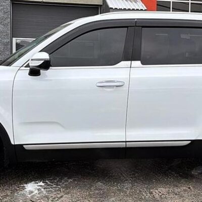 KIA Telluride (2020-2025) <br> FormFit Side Visors