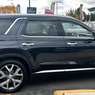 Hyundai Palisade (2020-2025) FormFit Side Window Visors